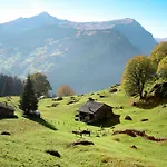 Tannegueetli By Interhome * Grindelwald
