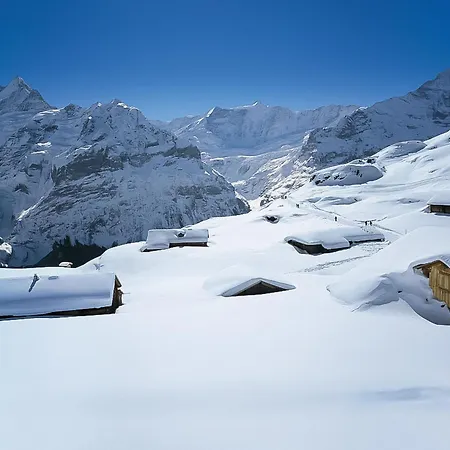 Tannegueetli By Interhome Feriehus Grindelwald