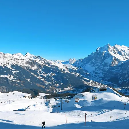 Tannegueetli By Interhome Grindelwald