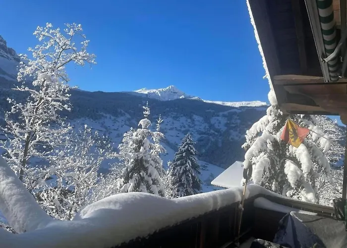 Tannegueetli By Interhome * グリンデルヴァルト